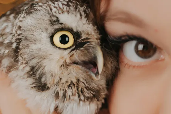 BoaBoa Kaszinó Támogatás